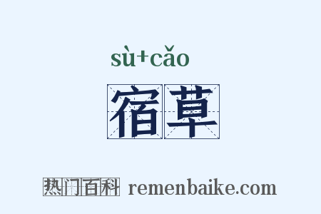 宿草是什么意思的图片